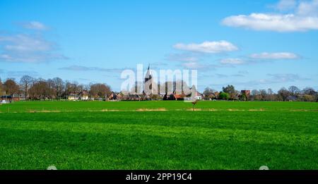 Paysage rural près de Bronckhorst, pays-Bas Banque D'Images