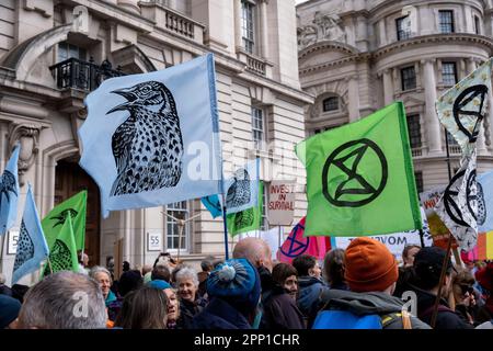 Des milliers de manifestants de divers groupes environnementaux se joignent à la rébellion contre l'extinction pour leur unité pour survivre, dans le cadre de la manifestation non perturbatrice « The Big One » à Westminster le 21st avril 2023 à Londres, au Royaume-Uni. Extinction la rébellion est un groupe de changement climatique créé en 2018 et a gagné une énorme suite de personnes engagées dans des manifestations pacifiques. Ces manifestations soulignent que le gouvernement ne fait pas assez pour éviter un changement climatique catastrophique et pour exiger que le gouvernement prenne des mesures radicales pour sauver la planète. Banque D'Images