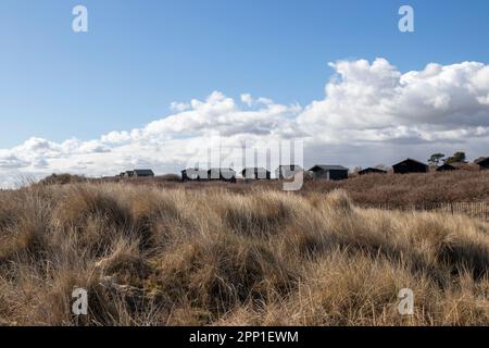 Cabanes de plage à Walberswick, Suffolk, Angleterre, Royaume-Uni Banque D'Images