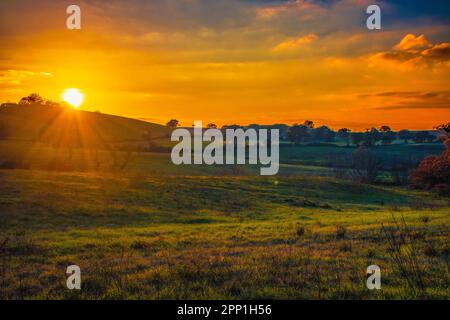 Paysage de la campagne de la Maremme au coucher du soleil en Toscane, Italie Banque D'Images
