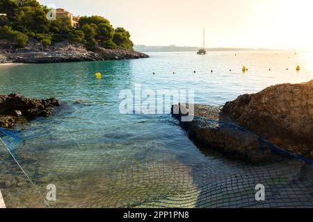 Catamaran ancré au large de la côte rocheuse de ses Illetes, avec la ville de Palma en arrière-plan, au lever du soleil Banque D'Images