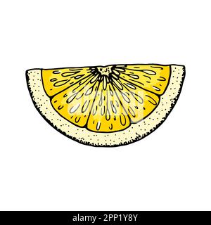 Tranche de citron. Illustration vectorielle colorée dessinée à la main dans un style d'esquisse isolé sur fond blanc. Fruit jaune juteux aux agrumes Illustration de Vecteur