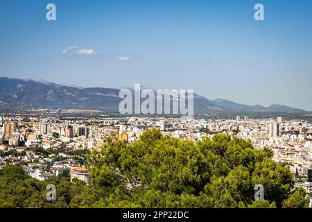 Panorama panoramique de Palma, Majorque depuis le toit du château de Bellver Banque D'Images