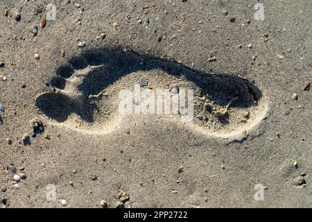 Une empreinte dans le sable sur la plage. Directement au-dessus du cliché. Banque D'Images