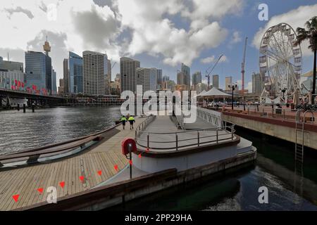 607 ligne d'horizon du centre-ville au-delà du pont Pyrmont et de la grande roue Darling Harbour vue depuis Convention Jetty. Sydney-Australie. Banque D'Images