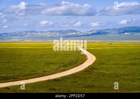 Une route de terre courbée dans le champ de fleurs sauvages, il va aux montagnes au loin. Banque D'Images