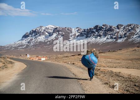 Berber femme transportant un gros lot de bois de chauffage sur la route rurale du col de Tizi n'Tazazert. Banque D'Images