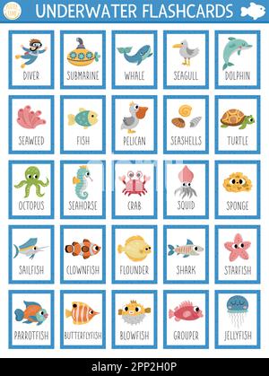 Cartes flash vectorielles avec animaux aquatiques, algues, poissons, sous-marin, plongeur. Jeu en anglais avec de jolis symboles sous-marins pour les enfants. Océan Illustration de Vecteur