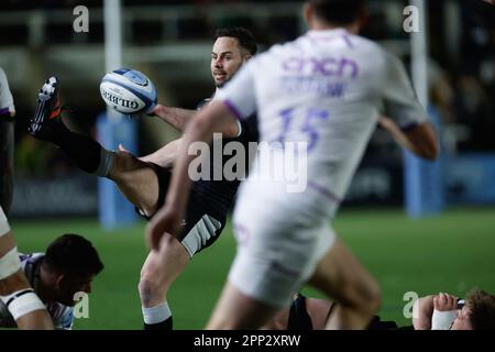 Newcastle, Royaume-Uni. 21st avril 2023. Michael Young, de Newcastle Falcons, avance lors du match de première division de Gallagher entre Newcastle Falcons et Northampton Saints à Kingston Park, Newcastle, le vendredi 21st avril 2023. (Photo : Chris Lishman | MI News) Credit : MI News & Sport /Alay Live News Banque D'Images