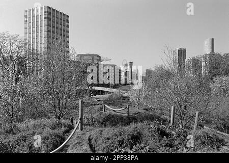 Vue sur Three Mills Park, Bromley-by-Bow, East London UK, en direction de Stratford, avec de nouveaux immeubles d'appartements, en monochome Banque D'Images