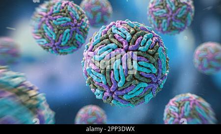 Virus Flaviviridae, illustration Banque D'Images
