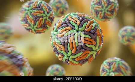 Virus Flaviviridae, illustration Banque D'Images