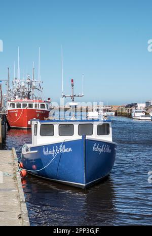 Des bateaux de pêche amarrés dans le port de glace Bay, île du Cap-Breton, lors d'une belle journée de printemps. Banque D'Images