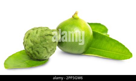 Chaux et kaffir lime avec feuilles isolées sur fond blanc Banque D'Images