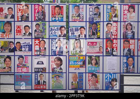 Tableaux d'affichage des élections à Tokyo, Japon Banque D'Images