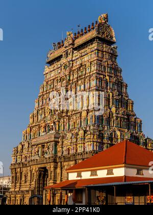 Chidambaram Thillai Natarajar temple gopuram. Entrée au temple du célèbre temple hindou Banque D'Images