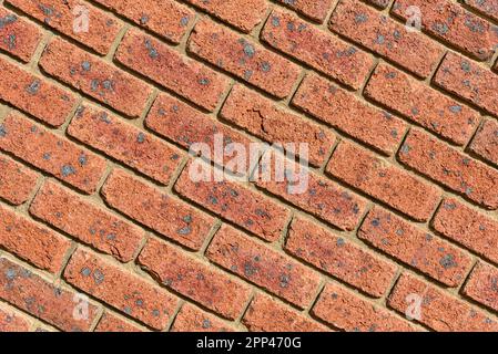 Un mur de brique rouge avec beaucoup de briques ayant des taches noires sur eux Banque D'Images
