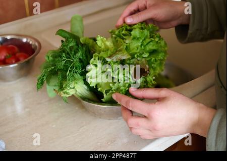 Gros plan de feuilles de salade verte fraîche et humide dans un bol en métal, ingrédients frais pour un repas sain. Régime. Une alimentation saine. Le végétarisme et le végétalisme concep Banque D'Images