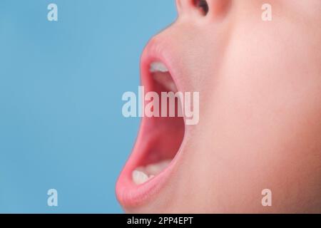 Vue rapprochée de l'intérieur de la cavité buccale d'un enfant en bonne santé avec de belles rangées de dents. Jeune fille ouvre la bouche révélant les dents supérieures et inférieures, Banque D'Images