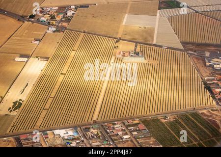 Vue aérienne d'une plantation de bananes dans le sud de Ténérife, îles Canaries, Espagne Banque D'Images