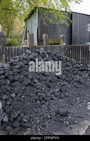 une pile de charbon dur devant l'usine, fournit pour l'hiver Banque D'Images