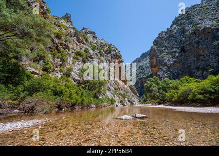 Ravin avec rivière Torrent de Pareis, sa Calobra, Majorque, Iles Baléares, Espagne Banque D'Images