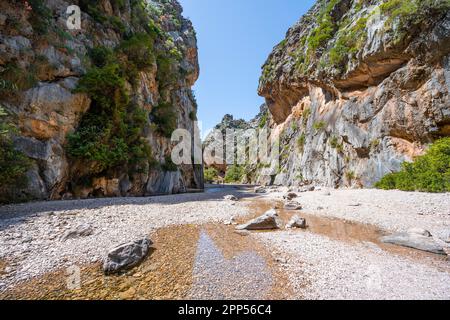 Ravin avec rivière Torrent de Pareis, sa Calobra, Majorque, Iles Baléares, Espagne Banque D'Images