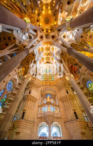 Voûte de plafond artistique avec colonnes, intérieur de la Sagrada Familia, église de l'Expiation de la Sainte famille, architecte Antoni Gaudi Banque D'Images