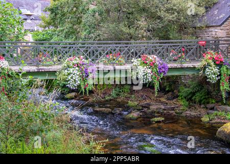 Pont-Aven. La rivière côtière Aven à 'Bois d'Amour' près du centre-ville. Finistère Bretagne Banque D'Images