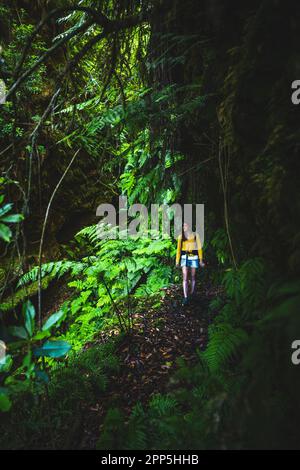 Description: Backpacker femme marchant sur une gorge couverte de fougère avec le vieux pont quelque part dans la forêt tropicale de Madeiran dans la matinée. Levada de Caldeirão Ver Banque D'Images