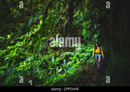 Description: Backpacker femme marchant sur une gorge couverte de fougère avec le vieux pont quelque part dans la forêt tropicale de Madeiran dans la matinée. Levada de Caldeirão Ver Banque D'Images