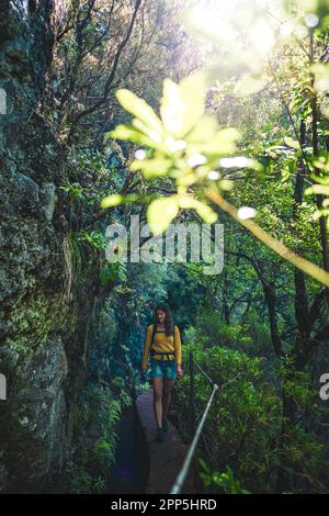 Description: Femme touristique marchant le long d'un sentier de randonnée dans la jungle surcultivée à côté du canal à travers la forêt tropicale de Madeiran. Levada de Caldeirão Verde, Madère Banque D'Images