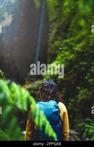 Description: Backpacker femme sur un chemin couvert de fougère surplombant une cascade pittoresque surcultivée dans la forêt tropicale de Madeiran. Levada de Caldeirão Verde, Banque D'Images