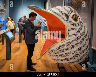 Exeter, Royaume-Uni. 21st avril 2023. Après les heures d'ouverture, des divertissements artistiques de nuit au Royal Albert Memorial Museum et à la galerie d'art d'Exeter. Credit: Thomas Faull/Alamy Live News Banque D'Images