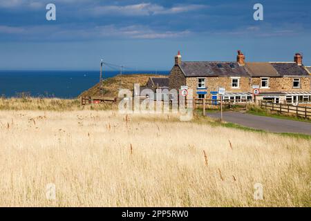 Chalets ruraux sur la côte du Yorkshire du Nord, Angleterre, Royaume-Uni Banque D'Images