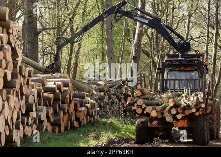 Machine à grumes au travail empilant du bois dans les Chiltern Hills en Angleterre Banque D'Images