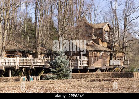 Le restaurant Tree House, une grande maison de treehouse dans le jardin d'Alnwick, Alnwick, Northumberland, Royaume-Uni Banque D'Images