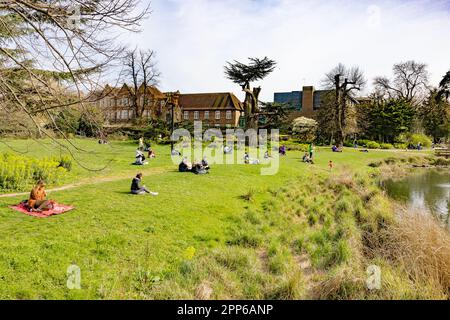 Personnes assises sur l'herbe dans un parc lors d'une journée ensoleillée au printemps ; Walpole Park, Ealing, Londres, Royaume-Uni Banque D'Images
