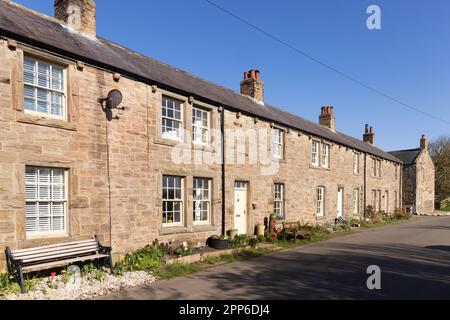 Maisons mitoyennes Royaume-Uni; maisons mitoyennes en pierre - une rangée de maisons en terrasse, dans le village de Newton, Northumberland Angleterre Royaume-Uni Banque D'Images