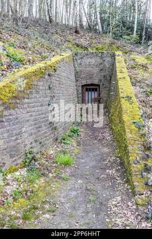 Entrée entre les murs avec de la mousse à une ancienne construction souterraine abandonnée, colline avec de nombreux arbres en arrière-plan, porte en métal rouillé, jour à du Banque D'Images