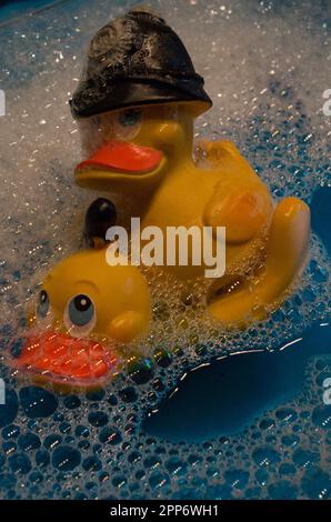 Canards en plastique Banque D'Images