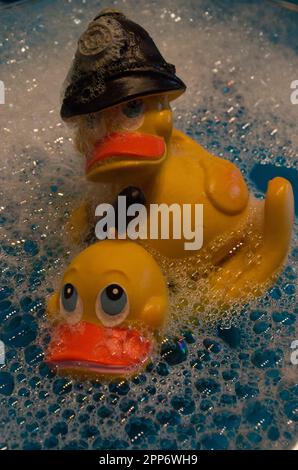 Canards en plastique Banque D'Images