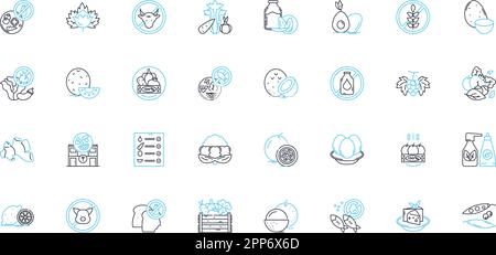 Ensemble d'icônes linéaires repas sans viande. Végétarien, végétalien, à base de plantes, sans viande, tofu, Lentilles, vecteur de la lignée de pois chiches et signes conceptuels. Champignons, brocoli Illustration de Vecteur