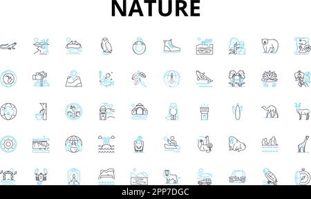 Ensemble d'icônes de nature linéaire. Forêt, montagne, rivière, océan, lac, Symboles de vecteur ciel, coucher de soleil et signes de concept de ligne. Lever du soleil, nuages, forêt tropicale Illustration de Vecteur