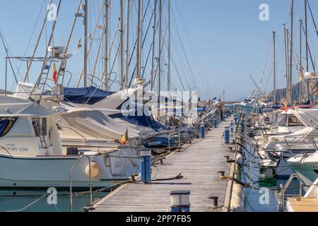 Puerto de Calp dans l'avenue du Port de la ville de Calpe, province d'Alicante (Alaquant), Communauté Valencienne, Espagne, Europe. Banque D'Images