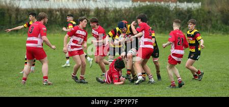 Carmarthen Quins RFC jeunes v NCE RFC jeunes Carmarthenshire Cup demi-finale 2023 Banque D'Images