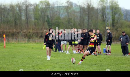 Carmarthen Quins RFC jeunes v NCE RFC jeunes Carmarthenshire Cup demi-finale 2023 Banque D'Images