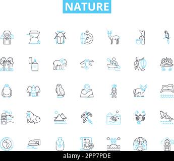 Ensemble d'icônes de nature linéaire. Forêt, montagne, rivière, océan, lac, Sky, vecteur de ligne de coucher de soleil et signes de concept. Lever du soleil, nuages, profil de la forêt tropicale Illustration de Vecteur