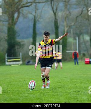 Carmarthen Quins RFC jeunes v NCE RFC jeunes Carmarthenshire Cup demi-finale 2023 Banque D'Images