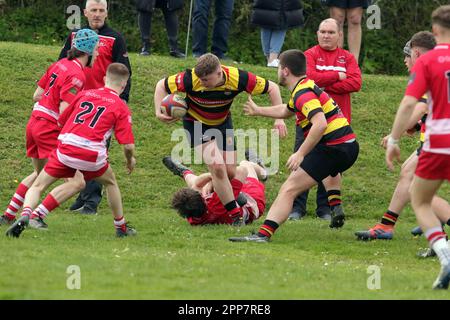 Carmarthen Quins RFC jeunes v NCE RFC jeunes Carmarthenshire Cup demi-finale 2023 Banque D'Images